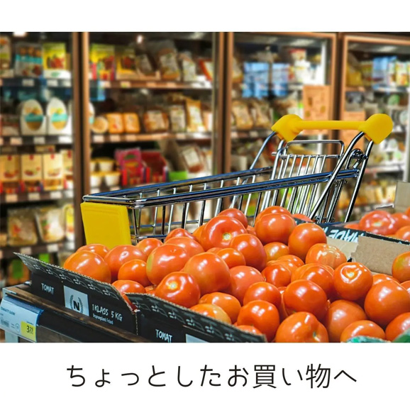 医療用ウィッグ/お買い物