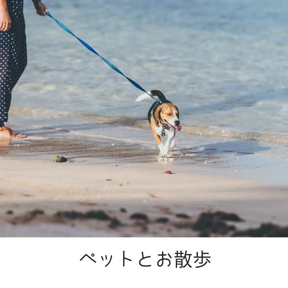 医療用ウィッグ/ペットとお散歩