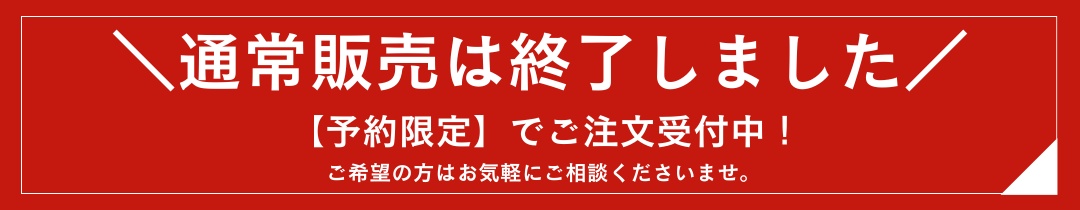 ふんわり髪つむじウィッグ/ウレタン皮膚センタータイプ ふんわり髪つむじウィッグ/ウレタン皮膚センタータイプ