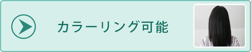 医療用ウィッグ/カラーリングOK