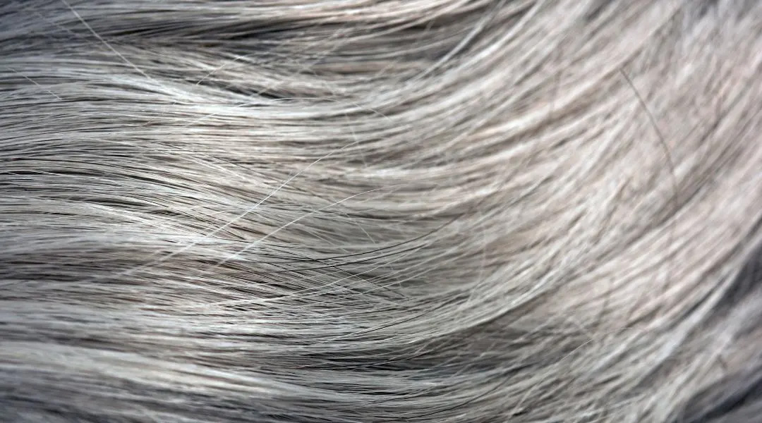 医療用ウィッグ/白髪について