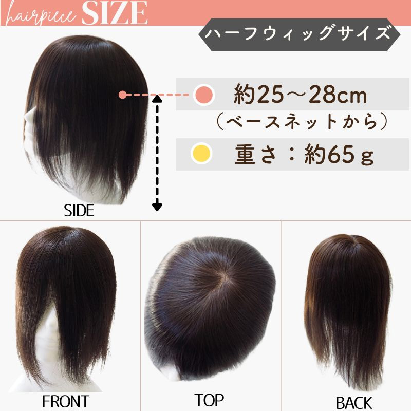 ヘアピース/サイズ（2L）
