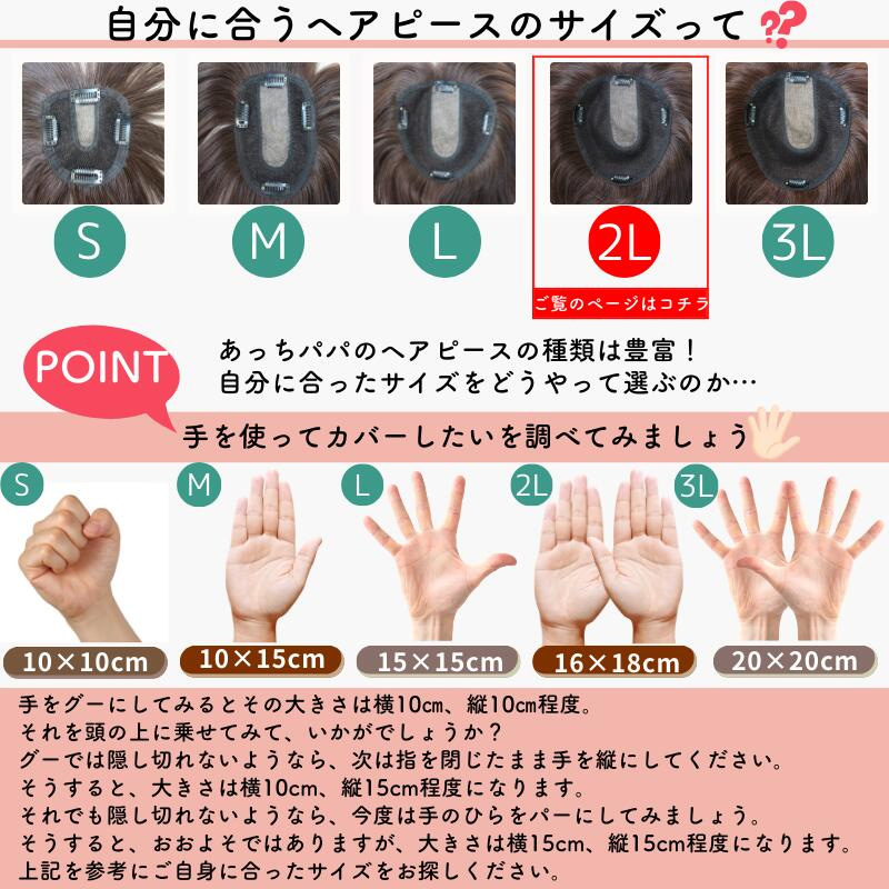 ヘアピース/サイズ確認（2L）
