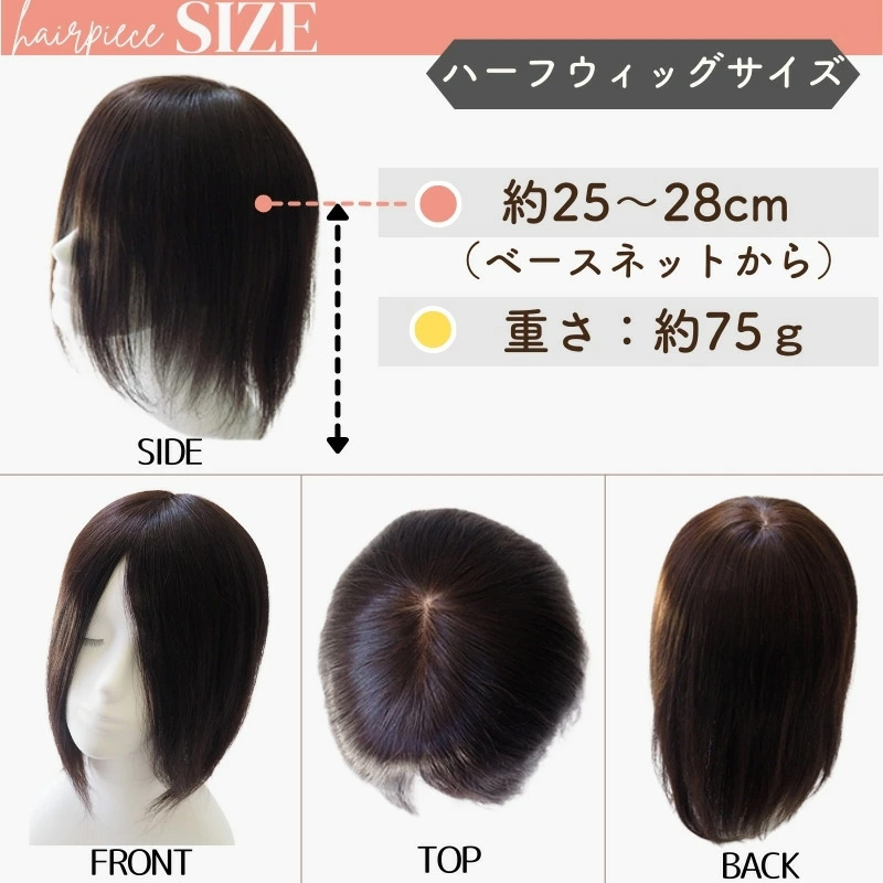 ヘアピース/サイズ（3L）