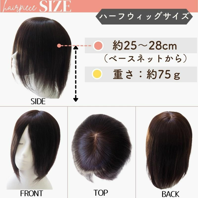 ヘアピース/サイズ（3L）