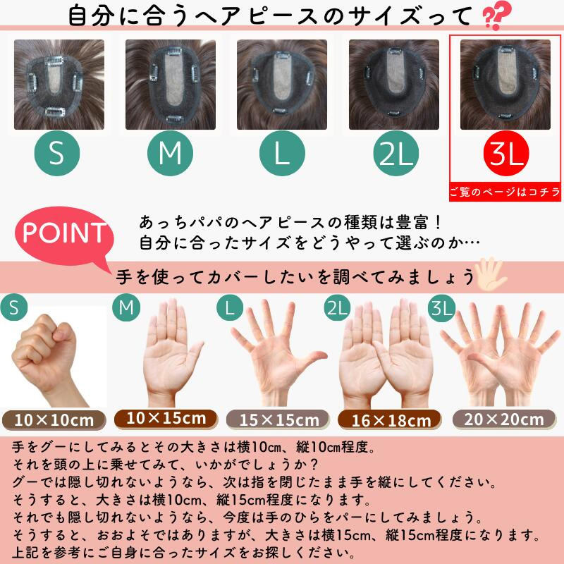 ヘアピース/サイズ確認（3L）