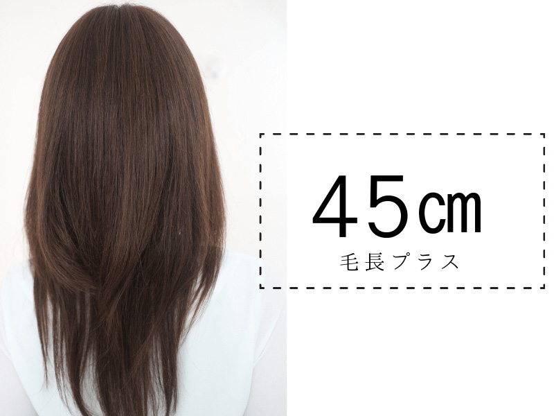 ヘアピース/毛長ロングオーダー45cm ヘアピース/毛長ロングオーダー45cm