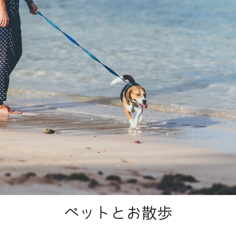 毛付き帽子/ペットとお散歩