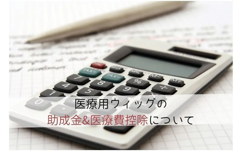 助成金&医療費控除について