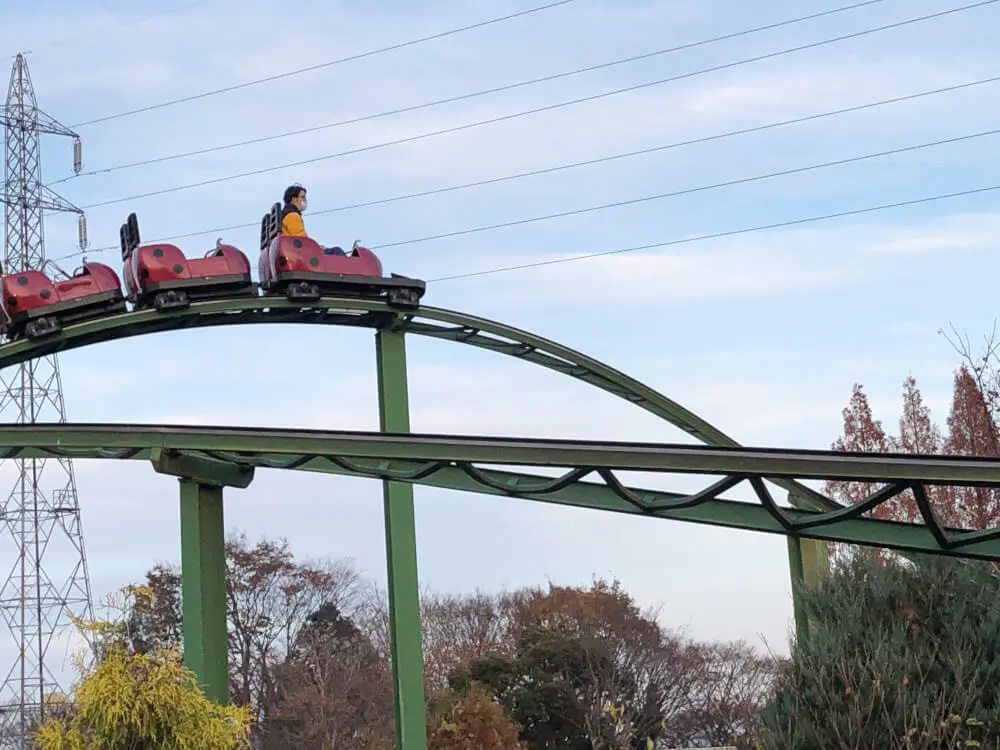 医療用ウィッグ/テーマパークへ行くとき 医療用ウィッグ/テーマパークへ行くとき