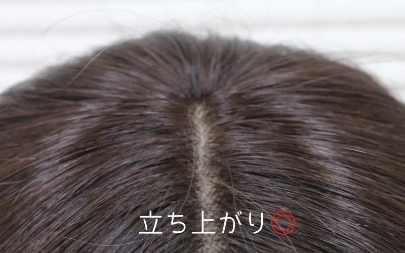 ふんわり髪つむじウィッグ/ウレタン皮膚センタータイプ/ふんわり感良好